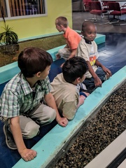 IMG 20190425 120455