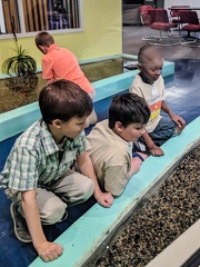IMG 20190425 120457