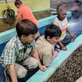 IMG 20190425 120457
